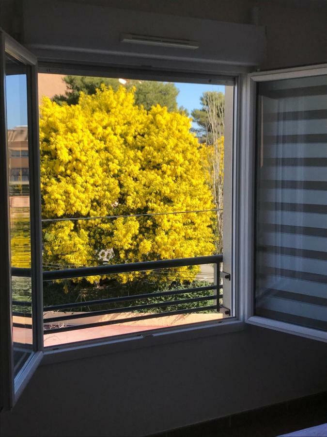 Appart' Au Port Apartman Fréjus Kültér fotó